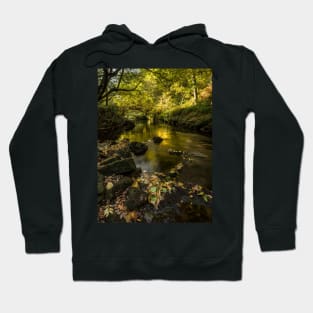 West Beck, Goathland, North Yorkshire Hoodie